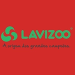 lavi (1)